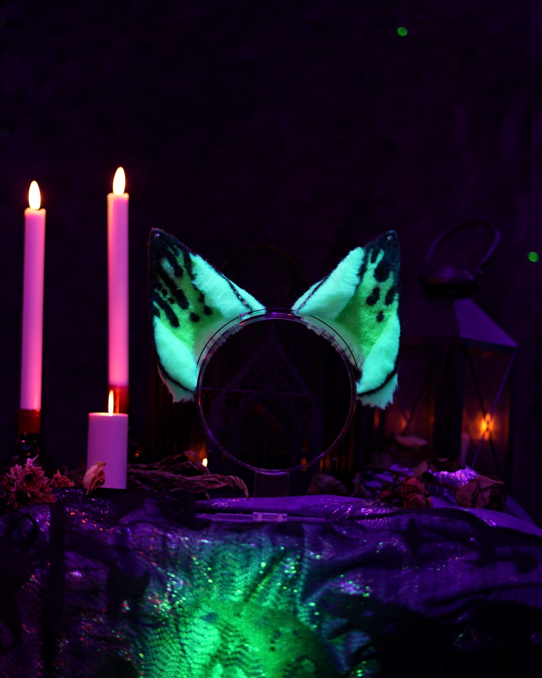 Hex Canino Ears - Image 18