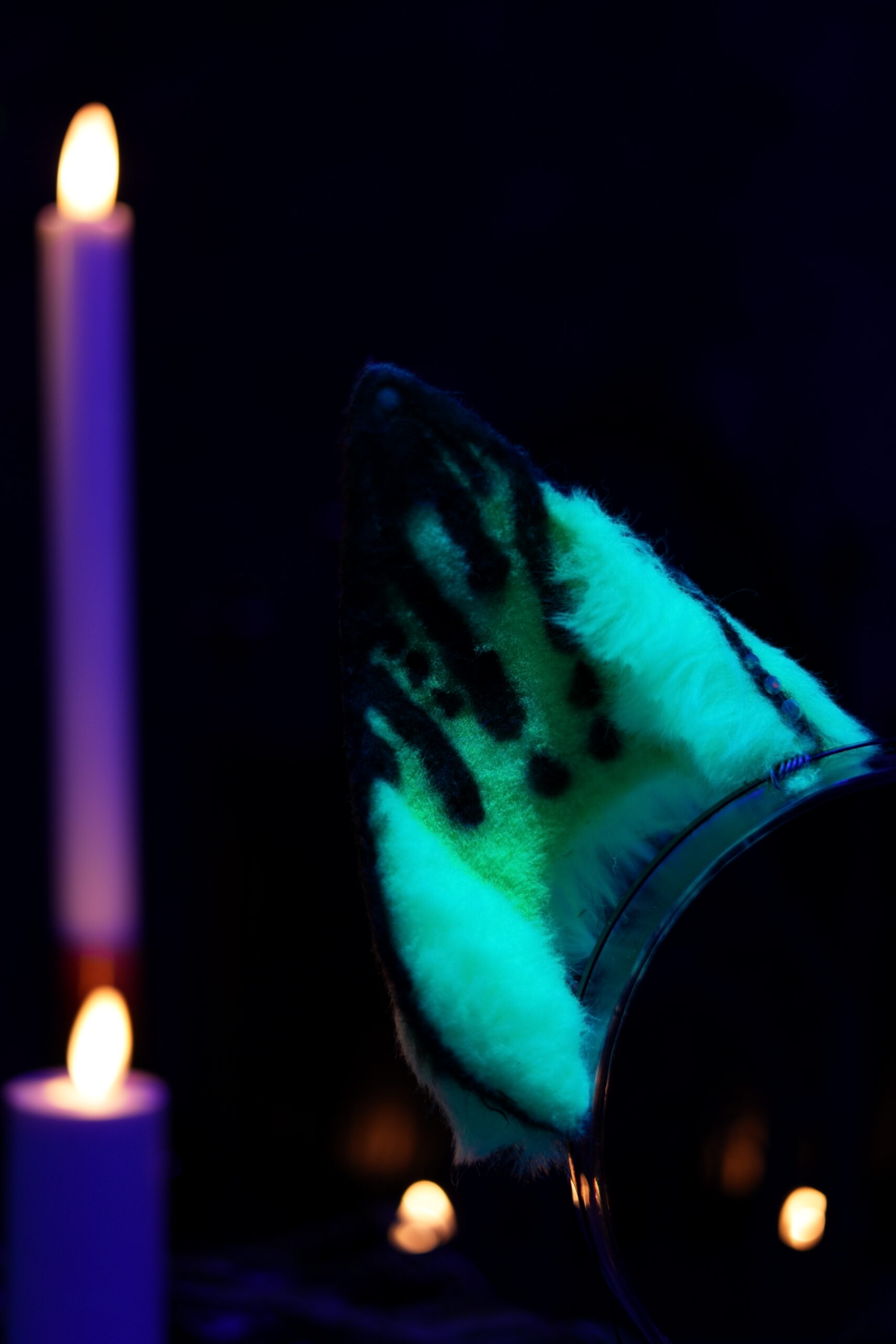 Hex Canino Ears - Image 17