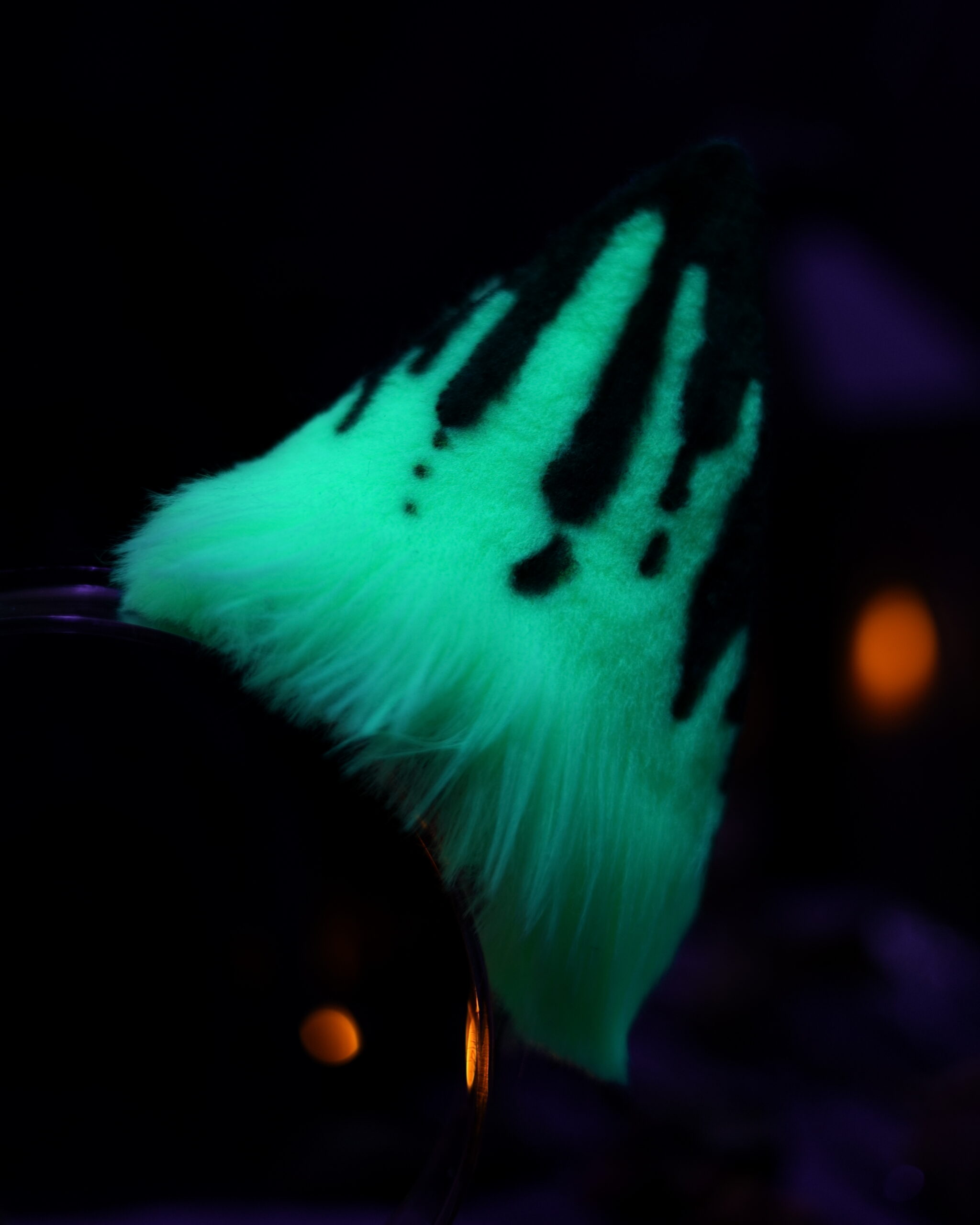 Hex Canino Ears - Image 16