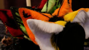 Hex Canino Ears
