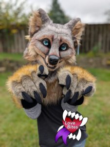 Grey Fox Partial
